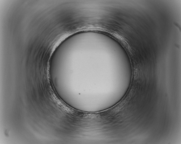 X0000100341374200806261316