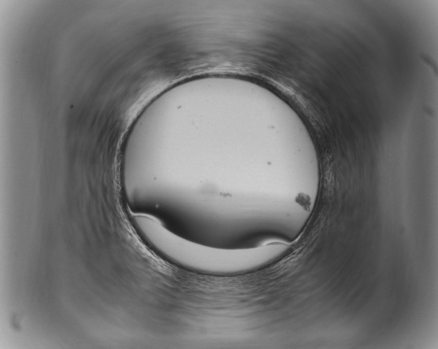 X0000100341375200806261316