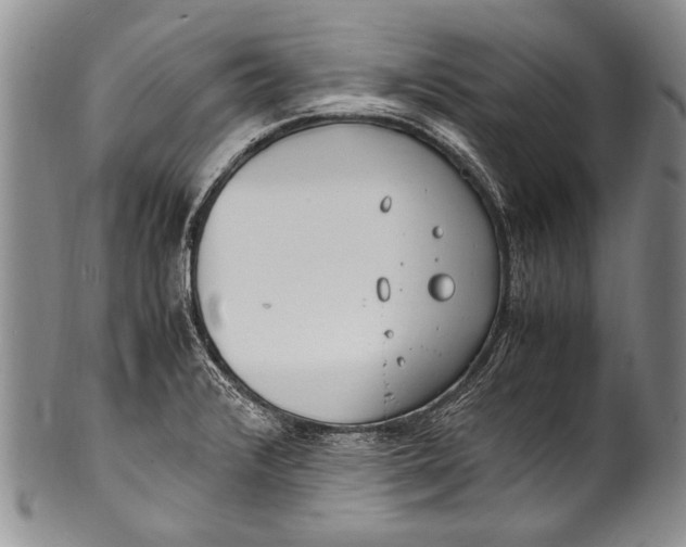 X0000100341376200806261316