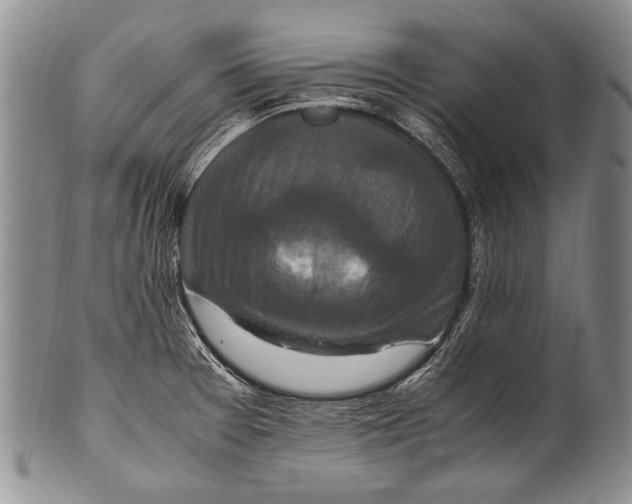 X0000100341377200806261316