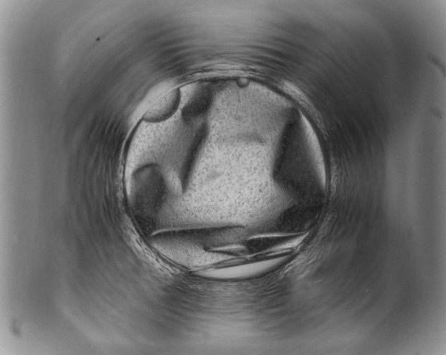 X0000100341378200806261316