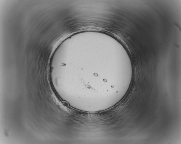 X0000100341379200806261316