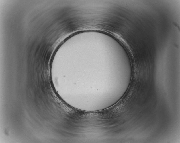 X0000100341380200806261316