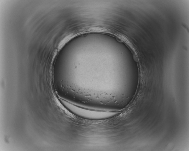 X0000100341381200806261316