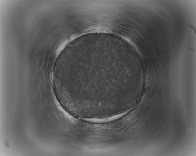 X0000100341383200806261316