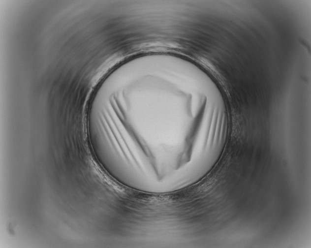 X0000100341384200806261316