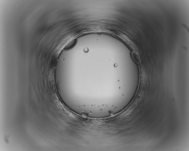 X0000100341385200806261316