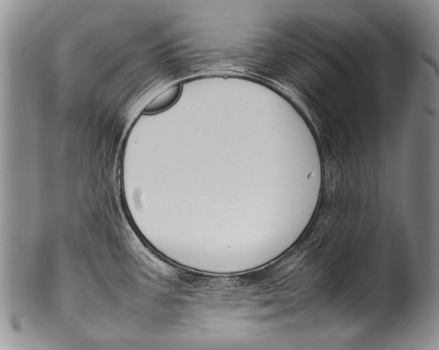 X0000100341387200806261316