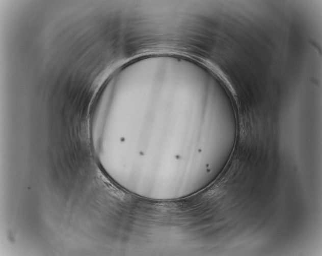 X0000100341388200806261316