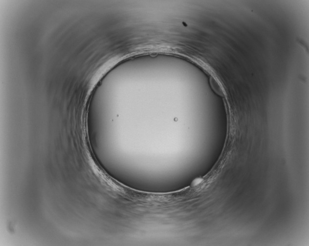 X0000100341389200806261316