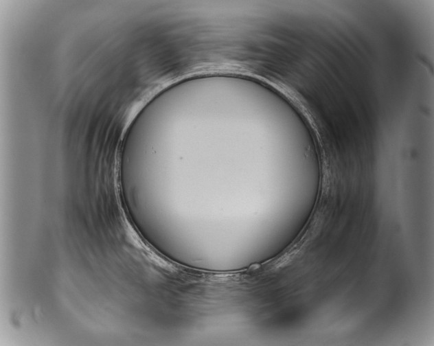 X0000100341390200806261316