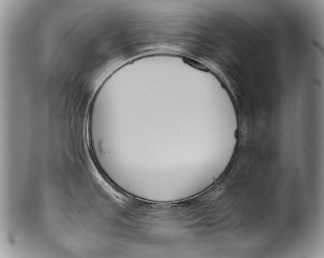 X0000100341391200806261316