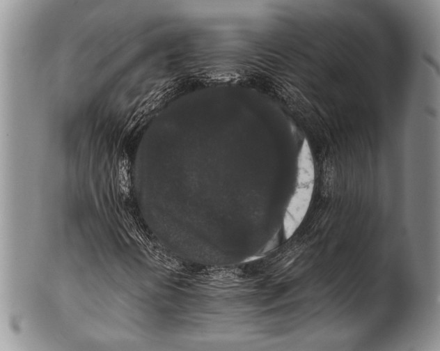 X0000100341394200806261315