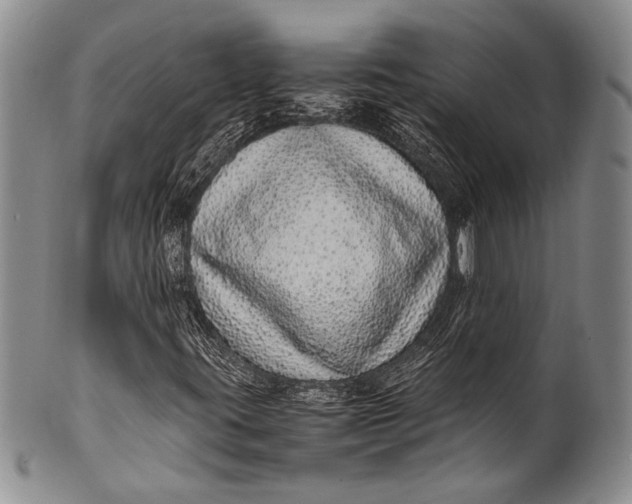 X0000100341395200806261315