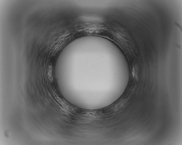 X0000100341396200806261315