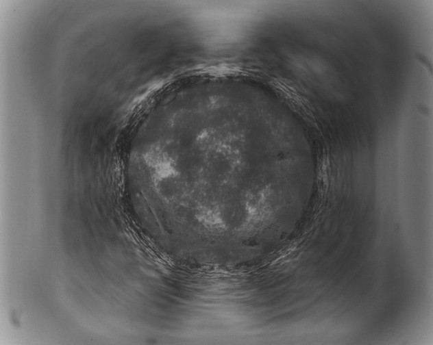 X0000100341398200806261315