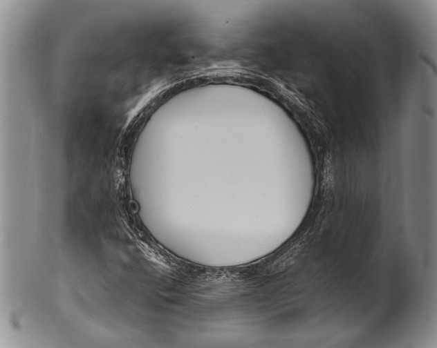 X0000100341400200806261315