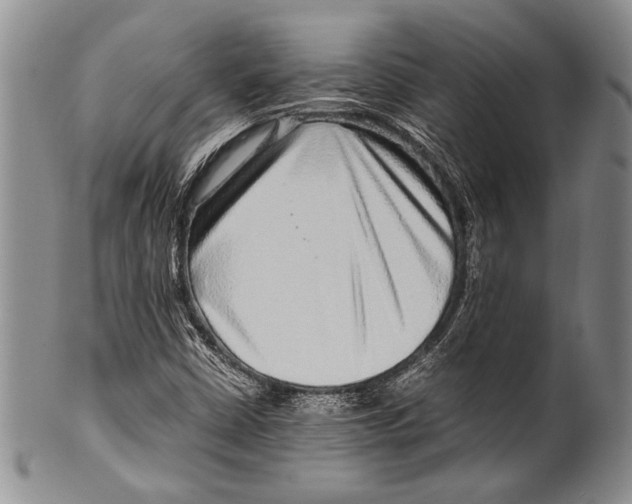 X0000100341402200806261315