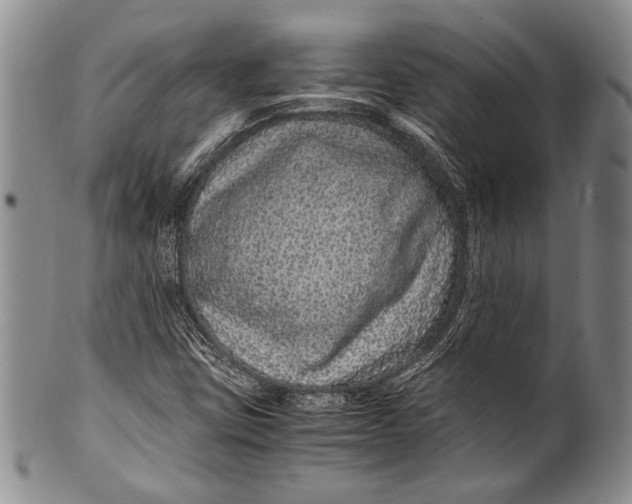 X0000100341403200806261315