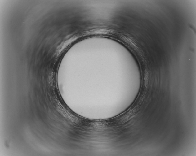 X0000100341404200806261315