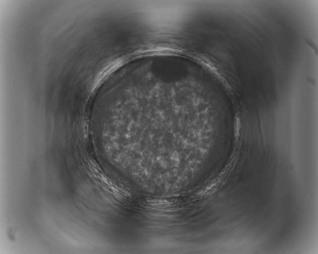 X0000100341405200806261315