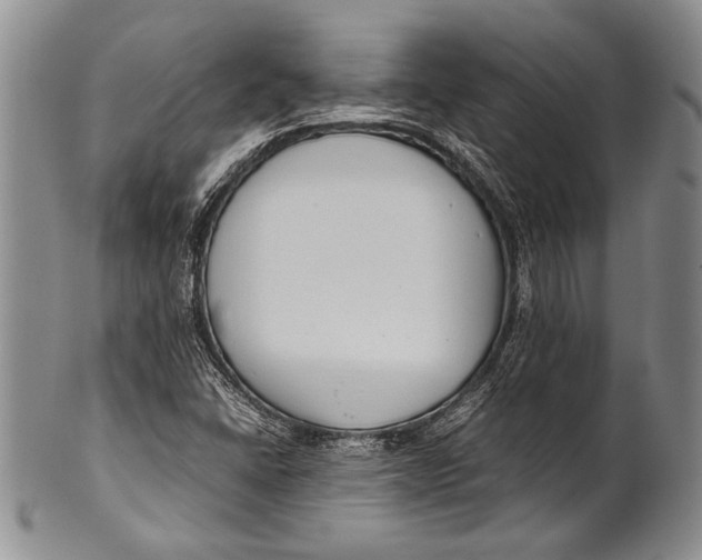 X0000100341406200806261315