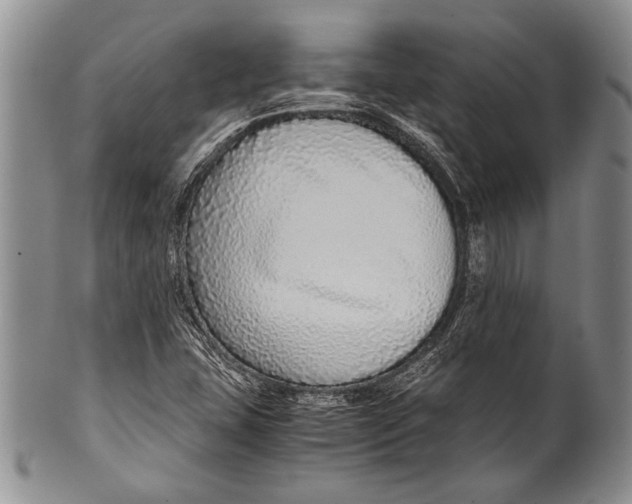 X0000100341407200806261315