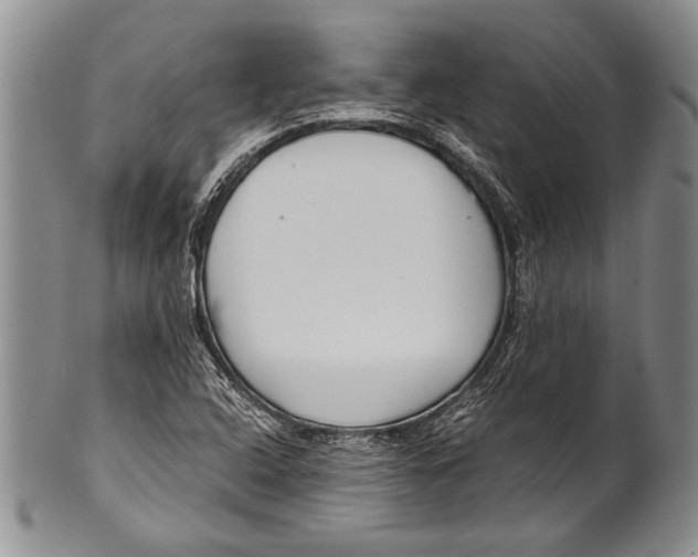 X0000100341408200806261315