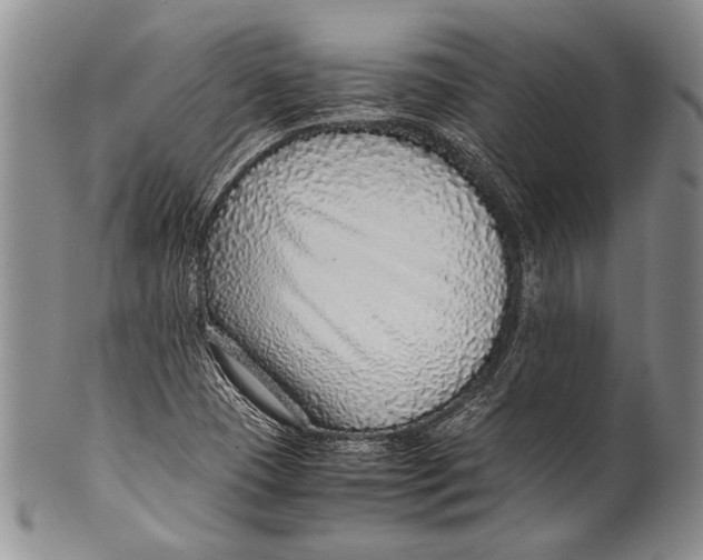 X0000100341409200806261315