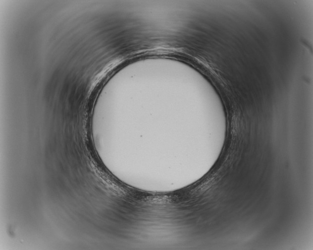 X0000100341410200806261315