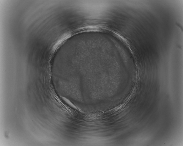 X0000100341411200806261316