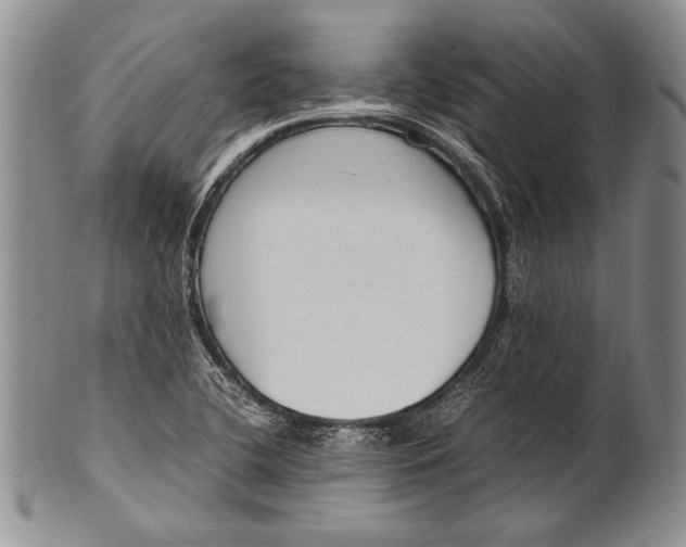 X0000100341412200806261316