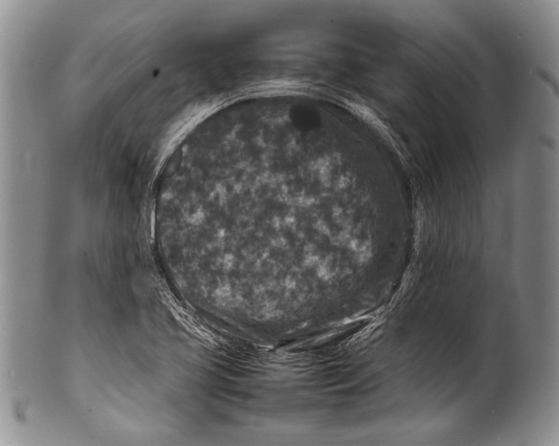 X0000100341413200806261316