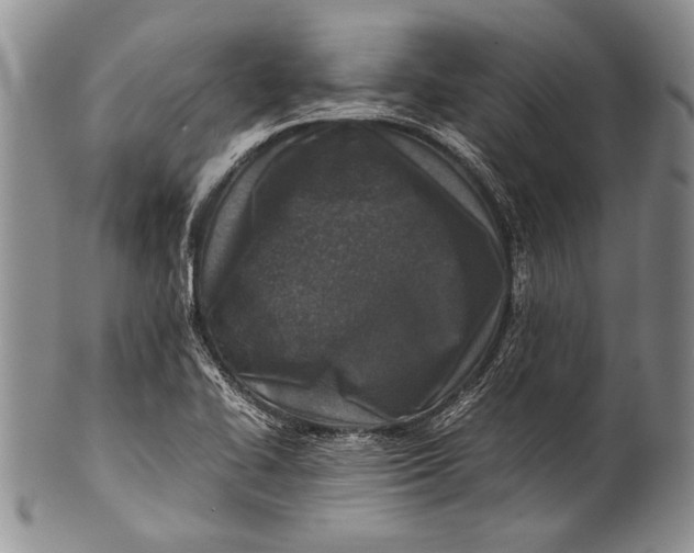 X0000100341414200806261316