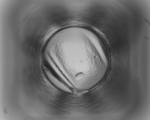 X0000100341415200806261316