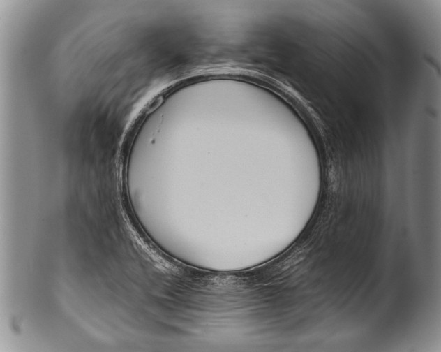 X0000100341416200806261316