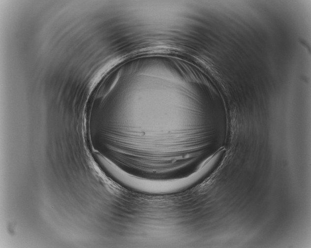 X0000100341418200806261316