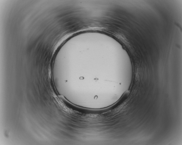 X0000100341420200806261316