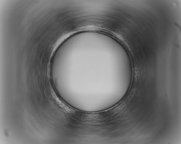 X0000100341421200806261316