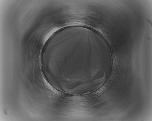 X0000100341422200806261316