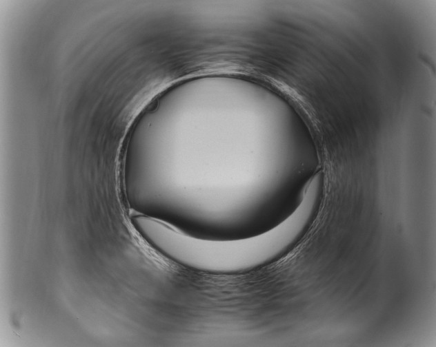 X0000100341423200806261316