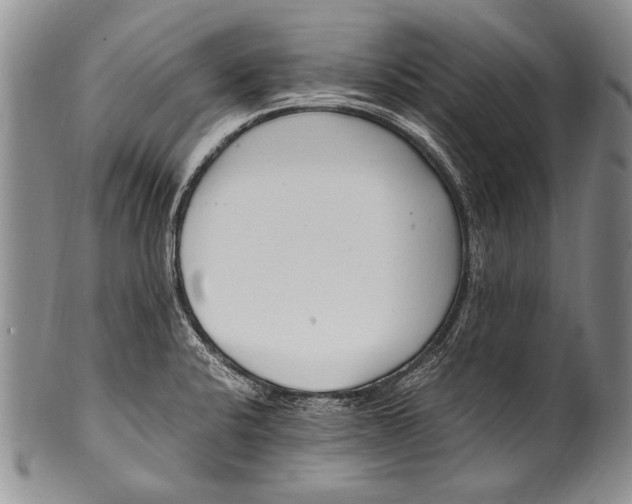 X0000100341424200806261316