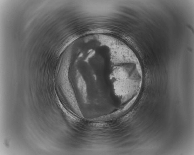 X0000100341425200806261316