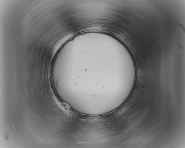 X0000100341426200806261316