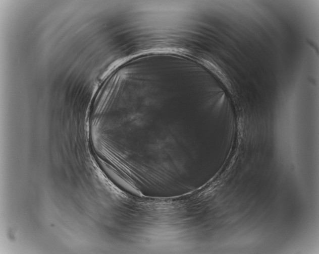 X0000100341428200806261316