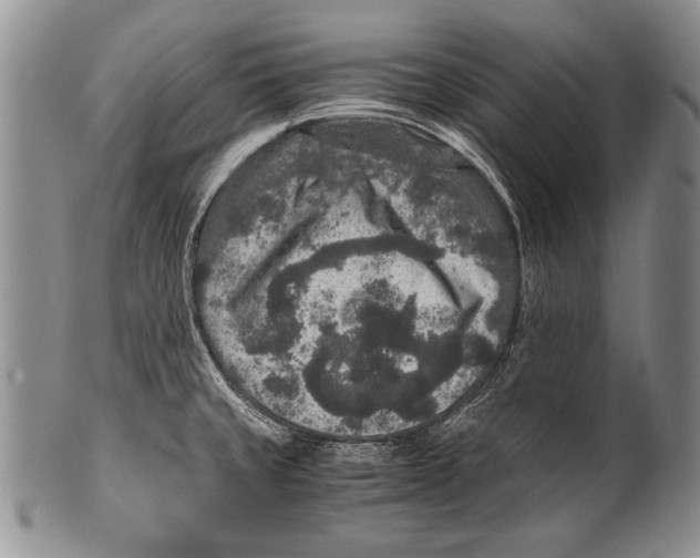 X0000100341429200806261316