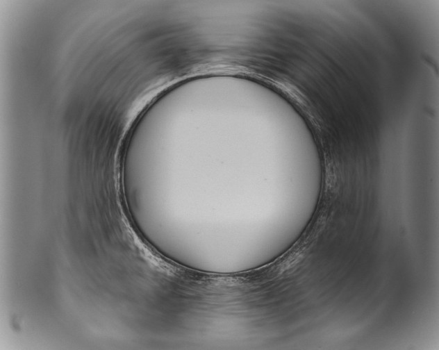 X0000100341430200806261316