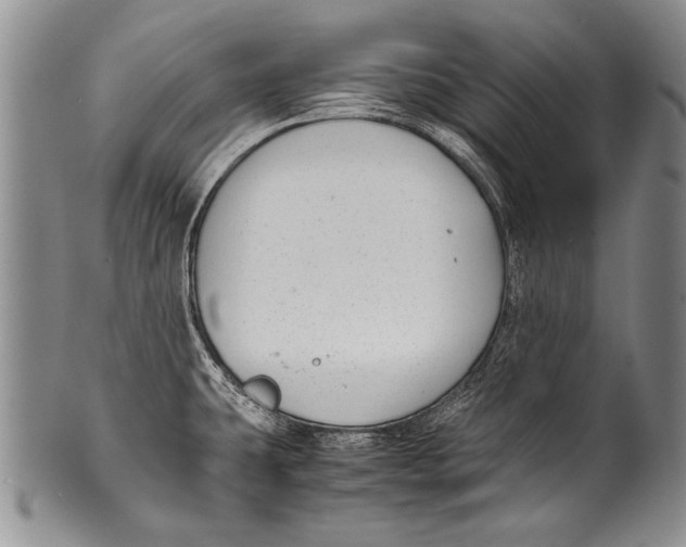 X0000100341431200806261316