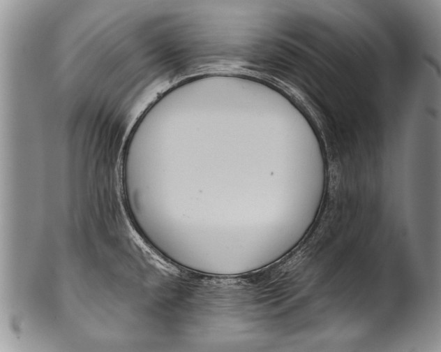 X0000100341432200806261316