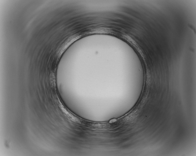 X0000100341433200806261316